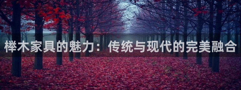 球盟会吧：榉木家具的魅力：传统与现代的完美融合