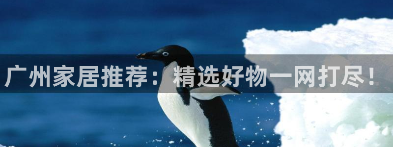 球盟会qm9