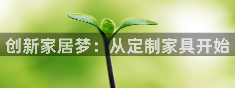 球盟会官方版下载地址