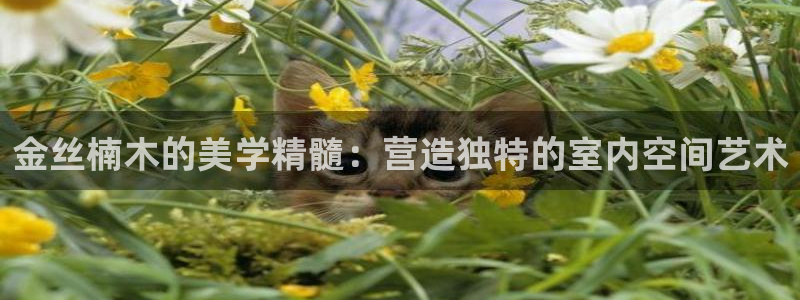 球盟会有限公司怎么样