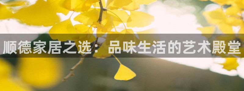 球盟会平台会黑单吗