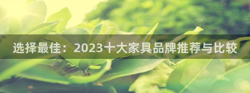 球盟会头号玩家是谁
