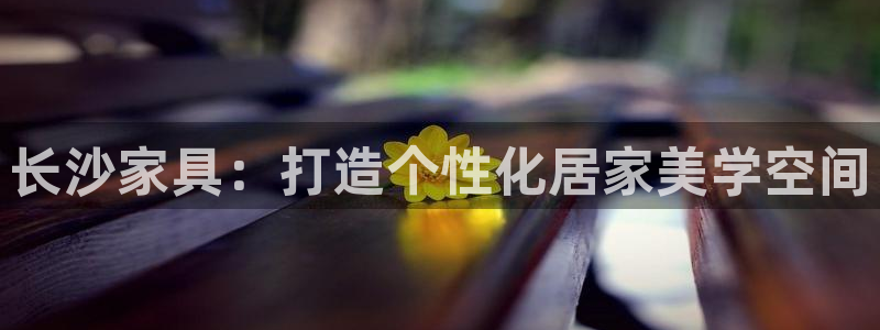 球盟会和中欧